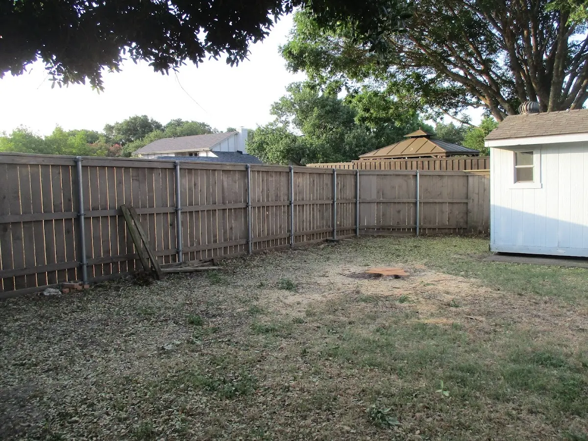 Cleared yard after professional tree removal in Hamburg