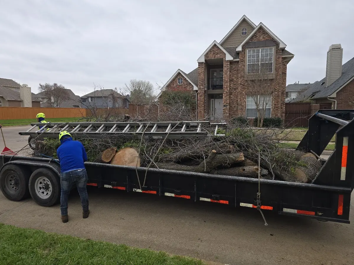 Expert Tree Fertilization with proper safety equipment in Hamburg